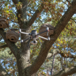 découvrez comment le diagnostic par drone peut aider à repérer efficacement les nids de frelons en hauteur, pour une intervention rapide et sécurisée.