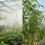 découvrez les différences entre la nébulisation et la pulvérisation pour choisir la méthode la plus adaptée à chaque type d'infestation et maximiser l'efficacité de votre traitement.